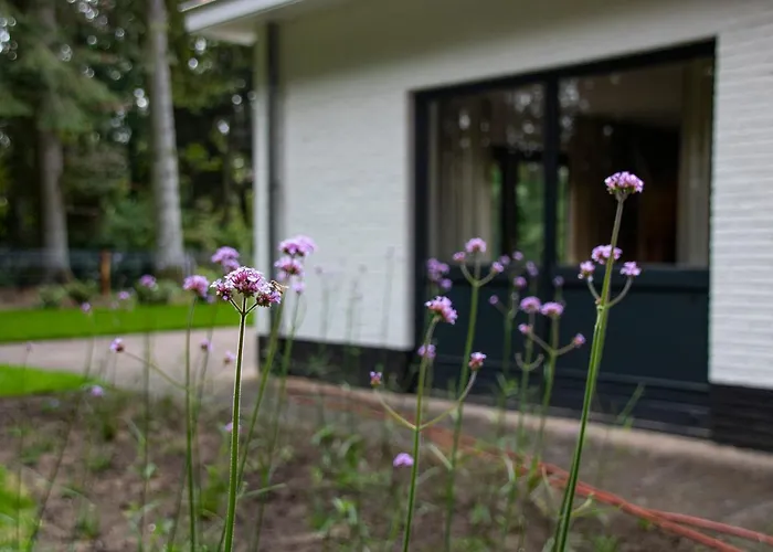 Villa Woudstee